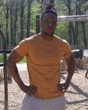 T shirt P&C Sabr Camel
